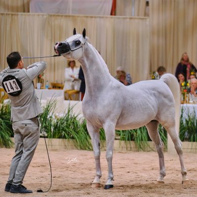 101721067-GCAT2025-02-18152