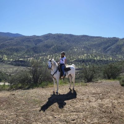 3813ef4d-2d1a-46e9-a45c-48aa545e7d09