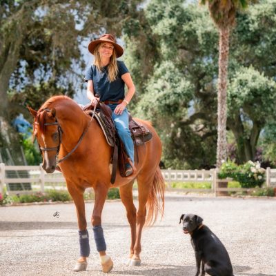 Antheia Apollo-444 fin