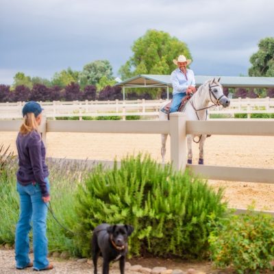 Belle Antheia-402 fin