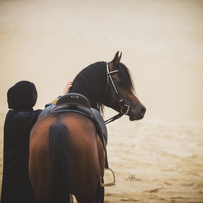 CaWS_10-24_DUnes_206