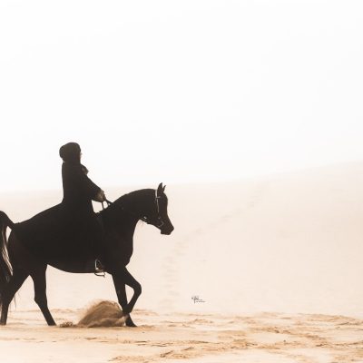 CaWS_10-24_DUnes_210 2