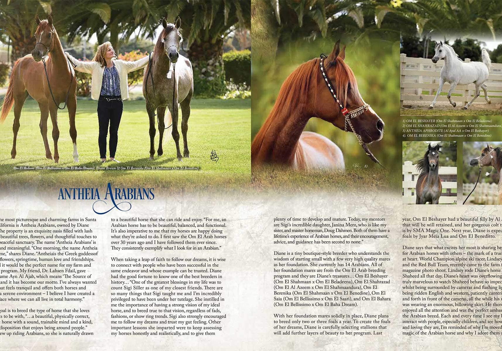 ANTHEIA-ARABIANS-Article-4