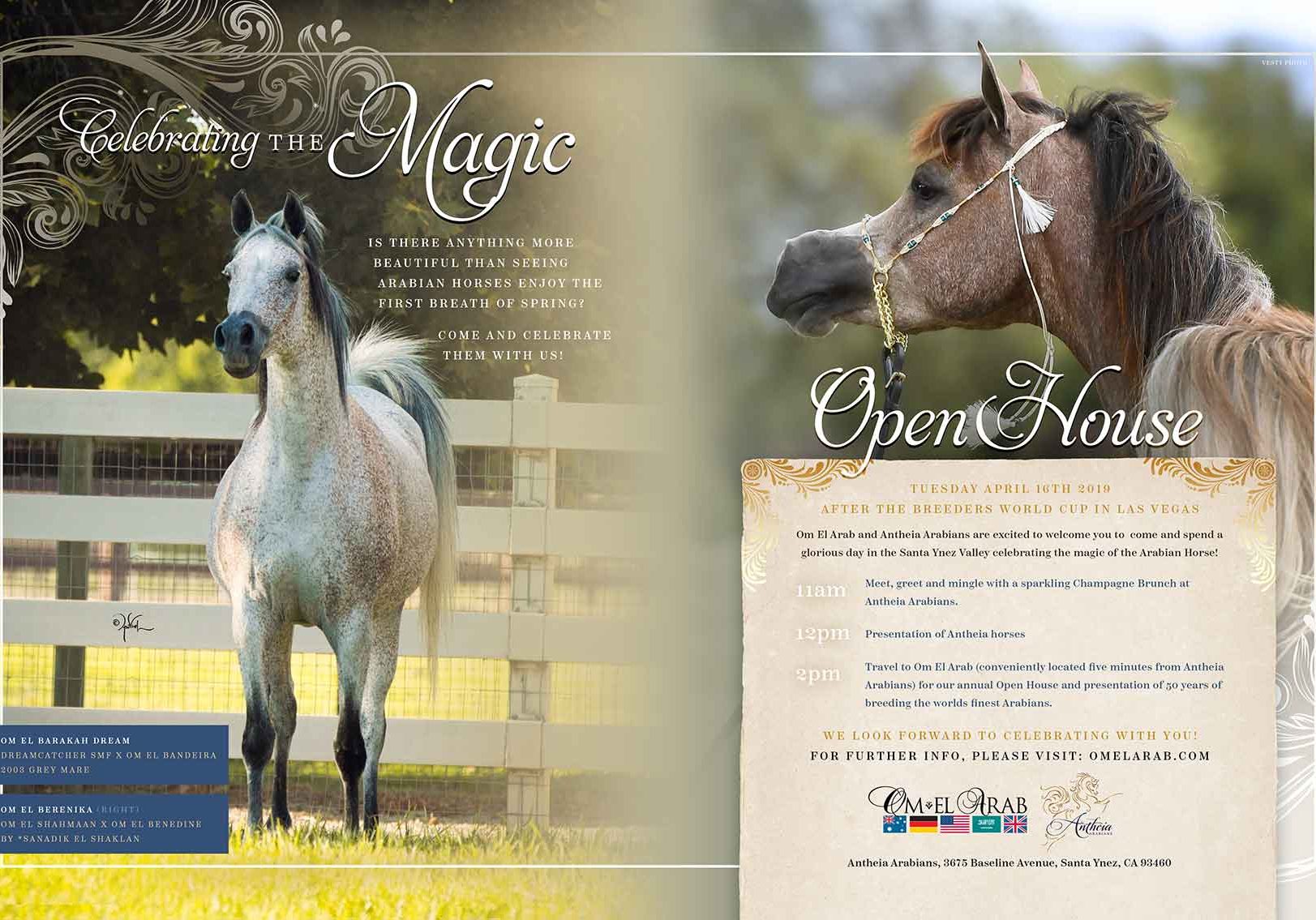 Antheia-Arabians-Open-House